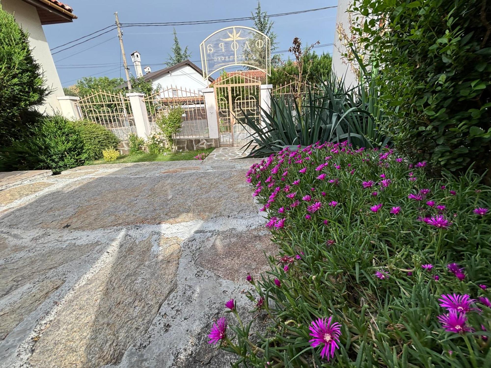Вила Флора Паталеница Luaran gambar